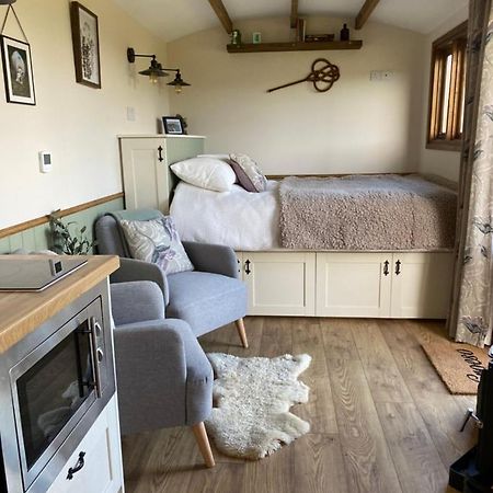 Silver Fern Glamping Hotel Aberystwyth Bagian luar foto