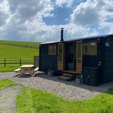 Silver Fern Glamping Hotel Aberystwyth Bagian luar foto