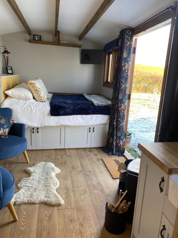 Silver Fern Glamping Hotel Aberystwyth Bagian luar foto