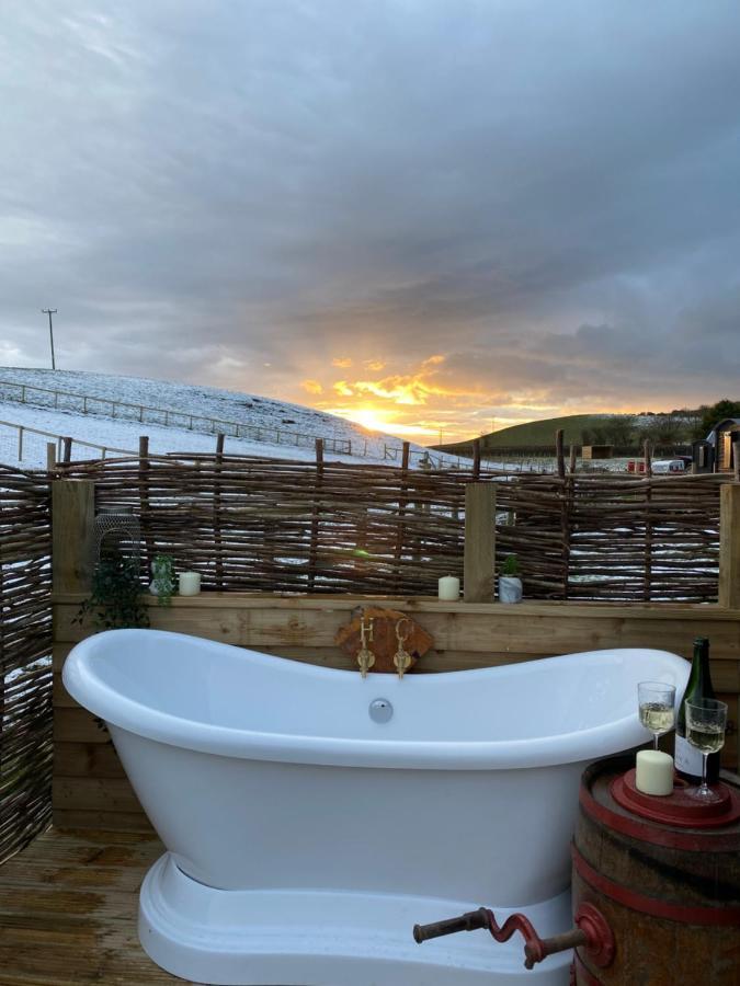 Silver Fern Glamping Hotel Aberystwyth Bagian luar foto