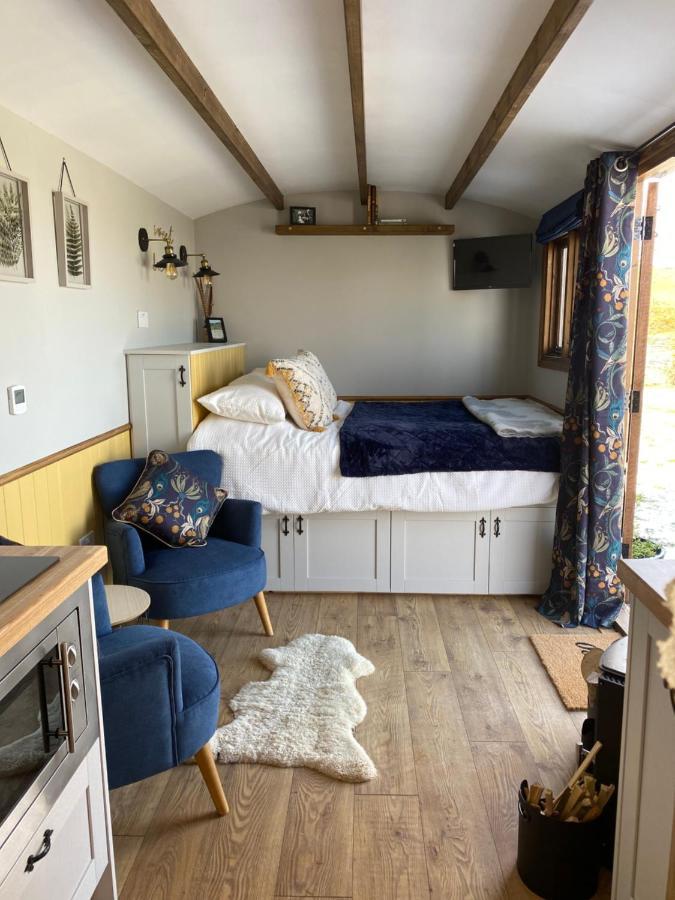 Silver Fern Glamping Hotel Aberystwyth Bagian luar foto