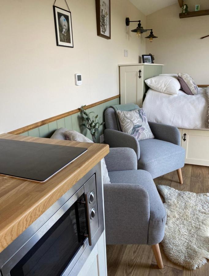 Silver Fern Glamping Hotel Aberystwyth Bagian luar foto