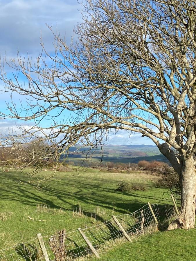 Silver Fern Glamping Hotel Aberystwyth Bagian luar foto