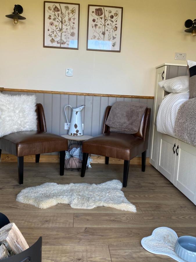 Silver Fern Glamping Hotel Aberystwyth Bagian luar foto