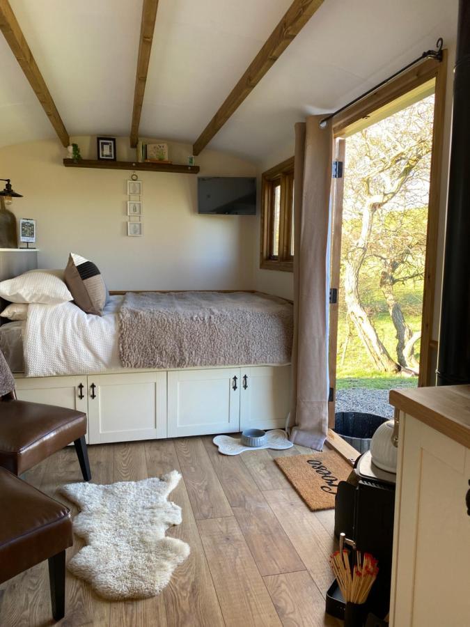 Silver Fern Glamping Hotel Aberystwyth Bagian luar foto