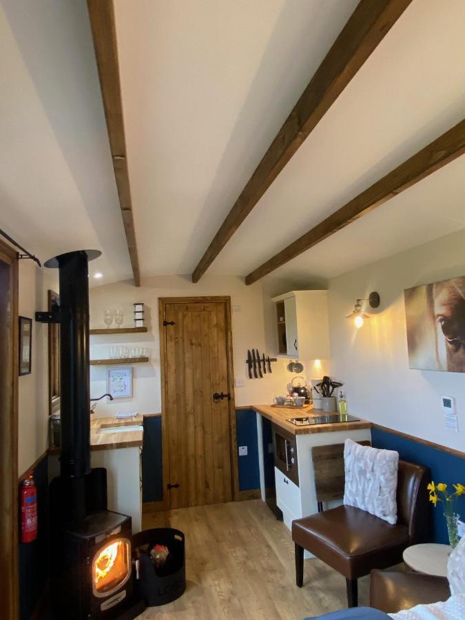 Silver Fern Glamping Hotel Aberystwyth Bagian luar foto