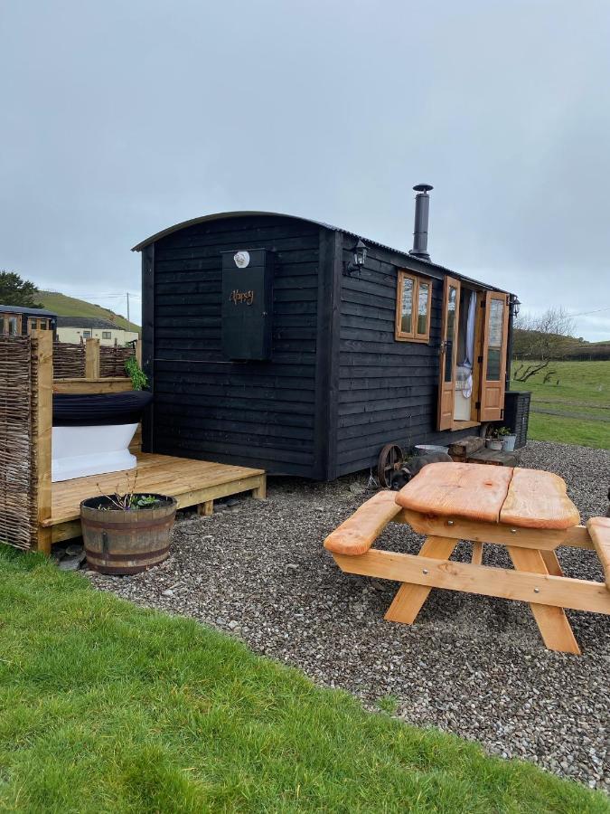 Silver Fern Glamping Hotel Aberystwyth Bagian luar foto