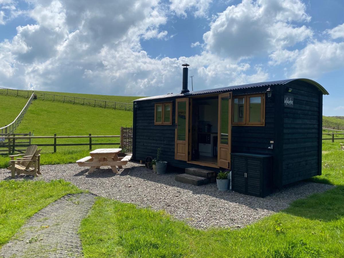 Silver Fern Glamping Hotel Aberystwyth Bagian luar foto