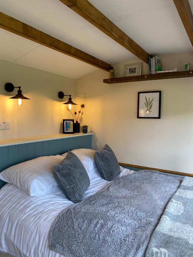 Silver Fern Glamping Hotel Aberystwyth Bagian luar foto