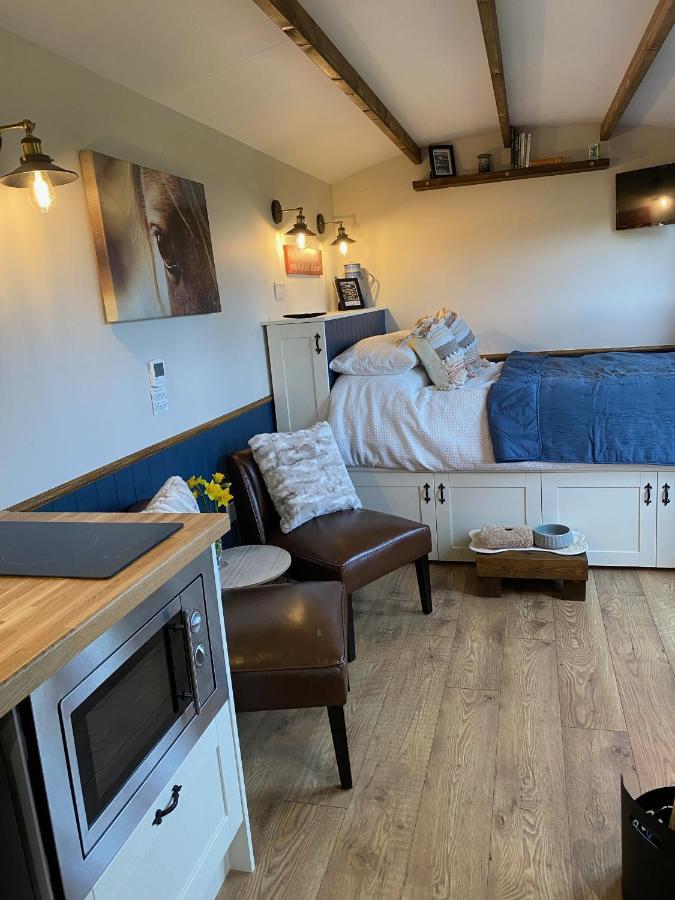 Silver Fern Glamping Hotel Aberystwyth Bagian luar foto